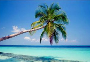 Videothron per Agenzie Viaggi